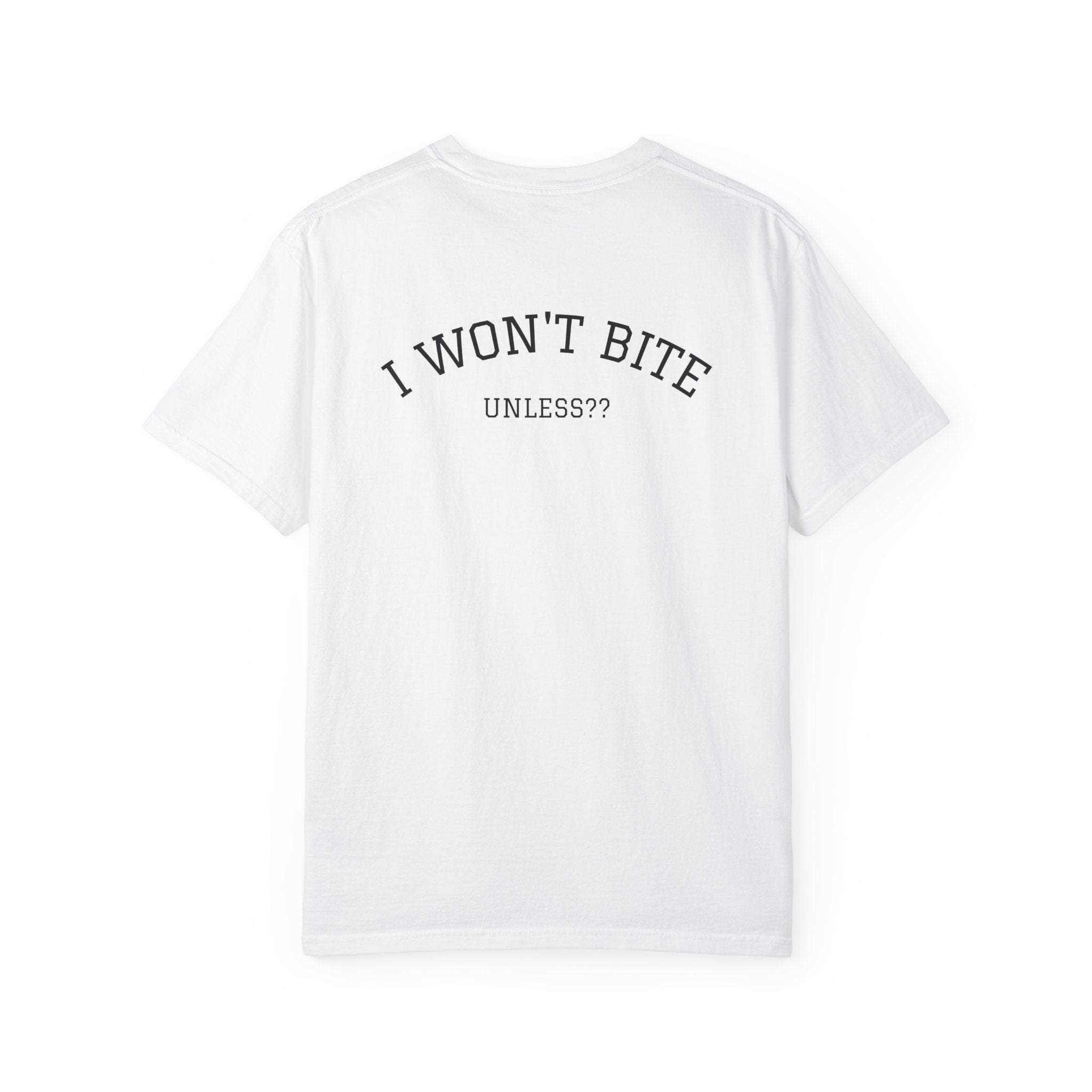 Snake Graphic T-Shirt | "Some Things Aren't to Be Played With, This One You Can" (I Won't Bite)
