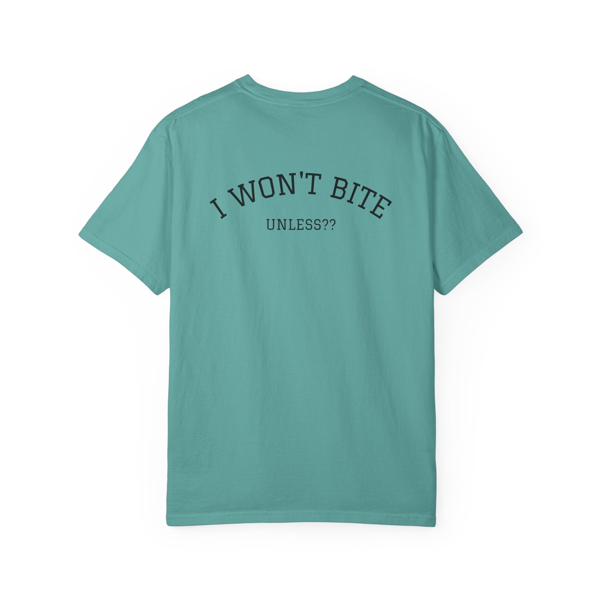 Snake Graphic T-Shirt | "Some Things Aren't to Be Played With, This One You Can" (I Won't Bite)