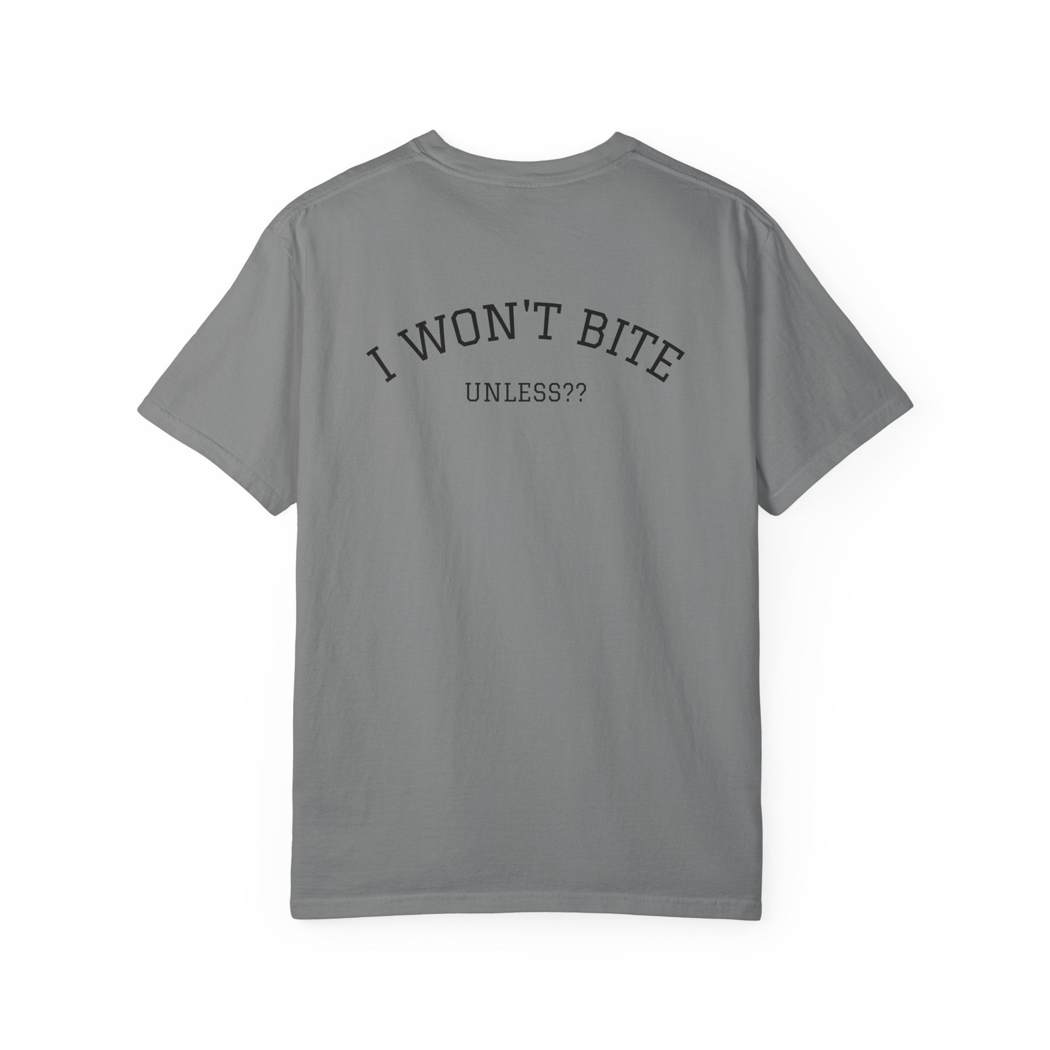 Snake Graphic T-Shirt | "Some Things Aren't to Be Played With, This One You Can" (I Won't Bite)